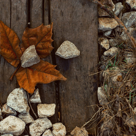 Leafing