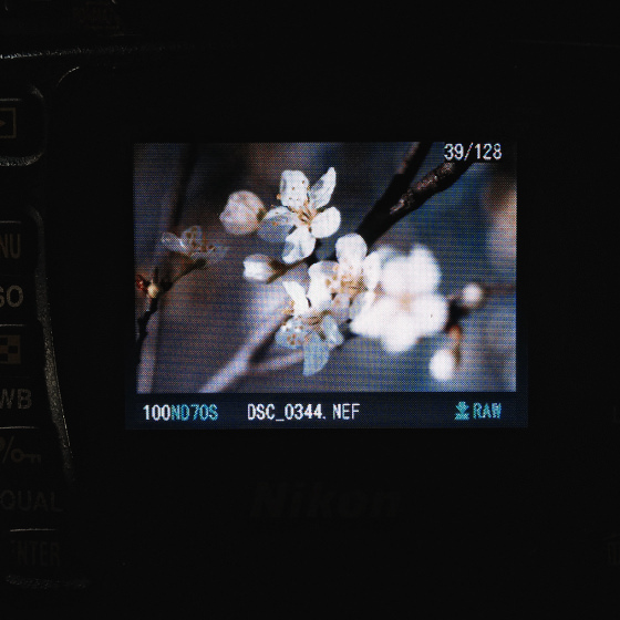 Nikon D70s